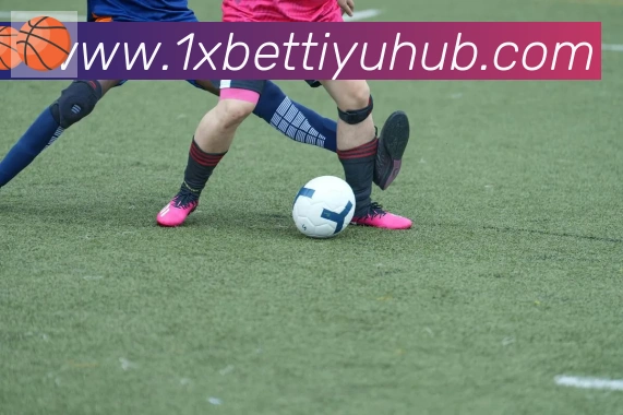 1xBet服务体系